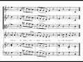 high resolution and stereo sound:
http://www.youtube.com/watch?v=fvx-fopz-ne&fmt=18

antonio vivaldi
cessate, omai cessate, rv 684
cantata for contralto voice, instruments and basso continuo


in this recording:

derek lee ragin, countertenor  
teatro lirico 
stephen stubbs
virgin veritas


the cantata follows the typical scheme of recitative--aria--recitative--aria (rara). there is a variant of this cantata (rv 684a), an earlier version without the first recitative and quite different from this one.

the only source of the text, by an unknown author, is the autograph score. one observation is that a similar text was used in an aria from vivaldi's opera 