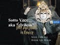 high resolution and stereo sound:
http://www.youtube.com/watch?v=fvx-fopz-ne&fmt=18

antonio vivaldi
cessate, omai cessate, rv 684
cantata for contralto voice, instruments and basso continuo


in this recording:

derek lee ragin, countertenor  
teatro lirico 
stephen stubbs
virgin veritas


the cantata follows the typical scheme of recitative--aria--recitative--aria (rara). there is a variant of this cantata (rv 684a), an earlier version without the first recitative and quite different from this one.

the only source of the text, by an unknown author, is the autograph score. one observation is that a similar text was used in an aria from vivaldi's opera 