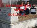 asi turk2