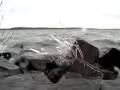 videos de Birch Lake