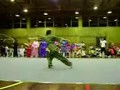 videos de santa fe wushu nacional 2008