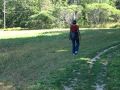 Ontario Travel: Bruce Trail Hiking near Owen Sound