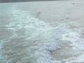 videos de boat trip from ellis island to manhattan (05.07.2008)