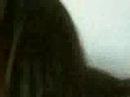 L\