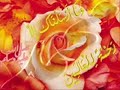 naat-by-farhan.html