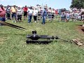 Threshing wheat