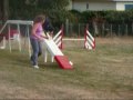 new agility.wmv