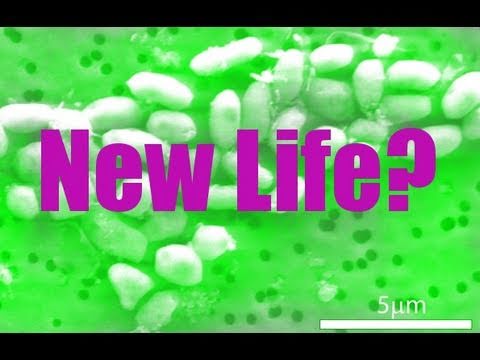 how to determine useful life