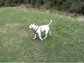 Lily 17092006