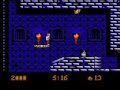Bram Stoker's Dracula(NES) Stage 3b(Escape From Castle Dracula)-Night Time