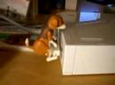 Wii Humping