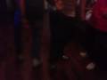 videos de Crazy Rebolations
