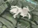 kiba papercut