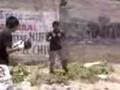videos de box tehuacan