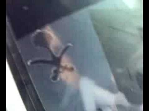 عري