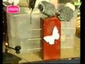 Просмотр видео