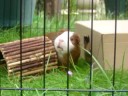 The Adventures of Raphael & Basil -Part 1