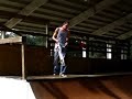 My Favorite Skateboarder My Favorite Skateboarder