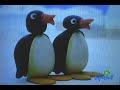 Pingu\ Pingu\