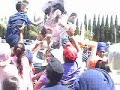 lucha sauda lucha sauda