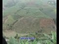 假如你是一朵花