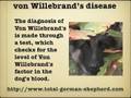 von Willebrands in the German Shepherd - vWD in the GSD - vWD