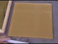 Captured Lightning: 2.2 million volt Lichtenberg Figure