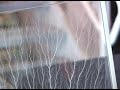 Captured Lightning: 2.2 million volt Lichtenberg Figure