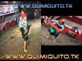 Compañia Folklorica \" Trillay Huaylash palmayoc\" Compañia Folklorica \" Trillay Huaylash palmayoc\"