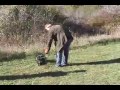 Free the Raccoon! Free the Raccoon!