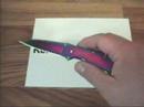 Kershaw Rainbow Leek 1660VIB - Demonstration