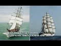 Can��o Cisne Branco