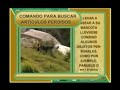 ENTRENAMIENTO CANINO