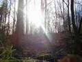 You Are My Hiding Place/As The Deer