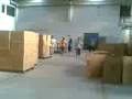 videos de   004