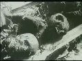 NAZi KAMPLARINDAN GERÇEK GöRüNTüLER (korkunç vahşet) Belgesel