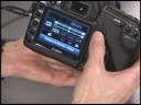 learn how to use new creative auto mode on the 5d mark ii, which allows for some quick advanced settings for the beginner.