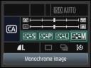 learn how to use new creative auto mode on the 5d mark ii, which allows for some quick advanced settings for the beginner.