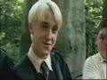 hermione loves draco
