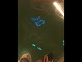 Holiday Laser Light Show At NYC's Grand Central Terminal