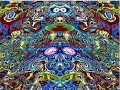 Acid and Shrooms Flashback