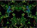 Acid and Shrooms Flashback
