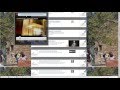 YouTube sprinkle