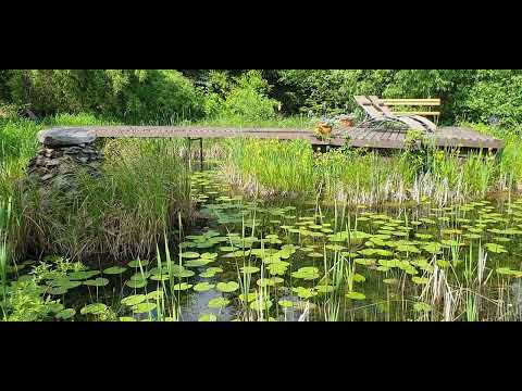 Koncerty ptaków i żab w Kamiennym Ogrodzie Holiday Park