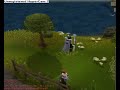 quest,cape,skill