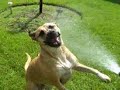 Mar 21 2008 - VID00008