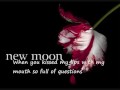 my New Moon Soundtrack #13-Hold You In My Arms-Ray LaMontagne w subtitle lyrics