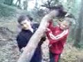 Barbol a la cueva