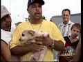 14-OCT-2007: Continúa investigación masacre de perros 14-OCT-2007: Continúa investigación masacre de perros