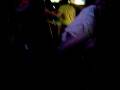 videos de tiff
